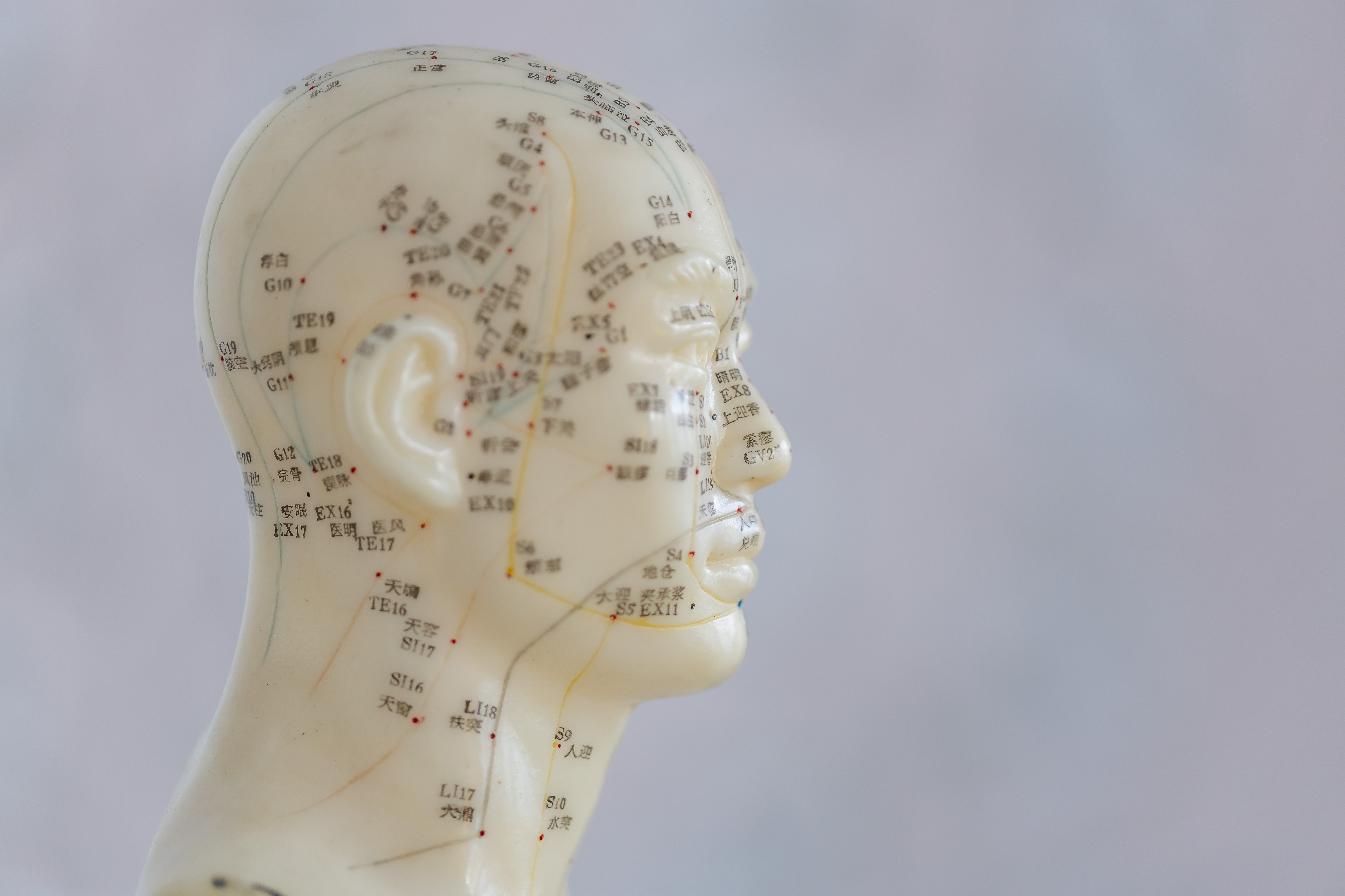 Close-up anatomical map of acupuncture points on the lateral view of the head and face